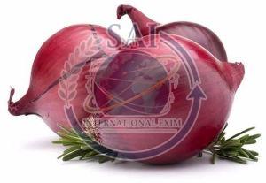35mm Nashik A Grade Red Onion, State Of Origin : Maharashtra