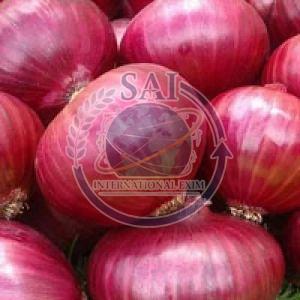 55mm Export Quality Nashik Red Onion, Packaging Size : 50Kg