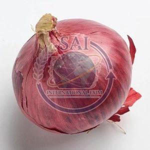70mm Jumbo Size Nashik Red Onion, Packaging Size : 50Kg Gunny Bag
