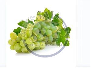 Natural A Grade Fresh Green Grapes, Packaging Size : 5Kg, 10Kg