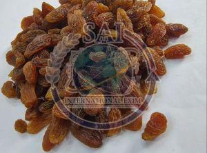 Organic Brown Dried Raisin, Packaging Type : Loose