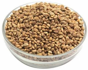 Chironji Seeds