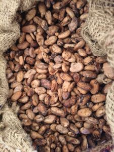 Seeds Dried Cocoa Beans for Drinking, Bakery Products, Hot Beverages