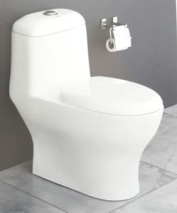 Ceramic Floor Mounted One Piece Toilet, Color : White