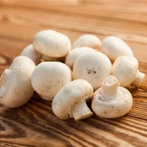 White Button Mushroom Fresh, Packaging Type : Plastic Container