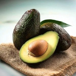 Fresh Avocado