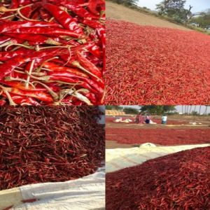 Dried Teja Red Chilli for Cooking, Food, Spices, Medicinal