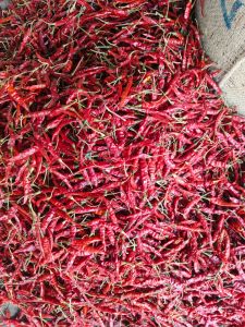 Teja Red Chilli