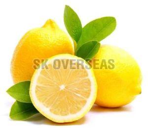 Organic A Grade Fresh Yellow Lemon, Packaging Type : Mesh Bags