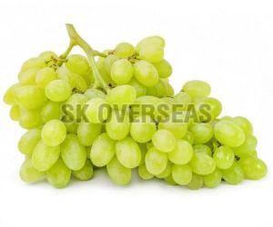 Organic Fresh Green Grapes, Packaging Size : 5Kg, 10Kg, 15Kg