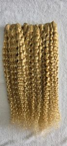 Blonde Weft Hair