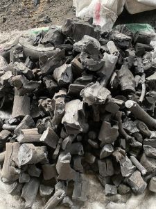 Wood Charcoal, Color : Black, Purity : 99%, Form : Solid