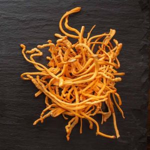 Dried Cordyceps Militaris, Quality : Premium