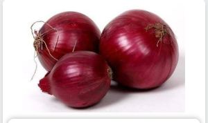 Fresh Red Onion, Cultivation Type : Organic for Cooking