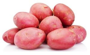 Organic Fresh Sweet Potato, Color : Brown for Human Consumption