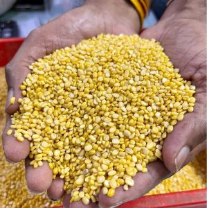 Organic Moong Dal