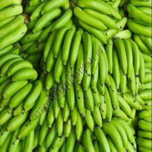 Fresh Green Banana for Direct Consumption Or Cooking