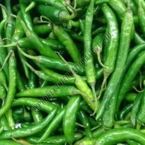 Green Chilli