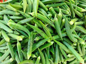 Green Fresh Lady Finger Mesh Bags for Cooking, Salads, Stir-fries