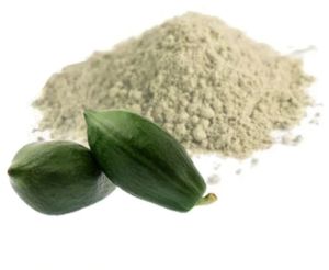 Papaya Fruit Powder, Color : Off White, Packaging Size : 25 Kg