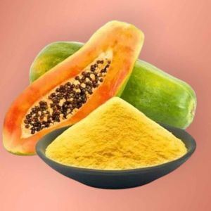 Raw Papaya Powder, Packaging Size : 25 Kg for Baking, Cooking