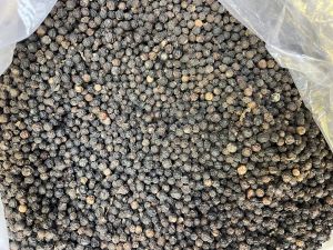 Black Pepper