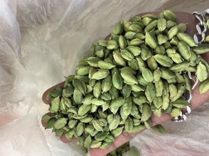 Green Cardamom 5mm - 6mm, Packaging Size : 50g, 10Kg, 25Kg