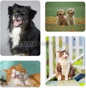 B2B and White Labelling