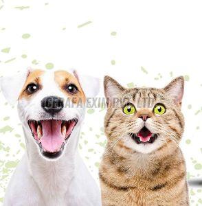 Skin and Coat Care Shampoo