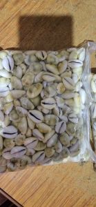 Lakshmi Kaudi, Brand Name : Penny