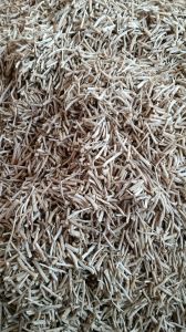 White Shatavari, Form : Dried, Roots, Purity : 99%