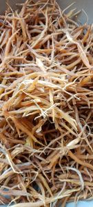 Yellow Shatavari Dried, Fresh, Form : Roots