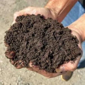 Bio Enriched Natural Plant Fertility Compost