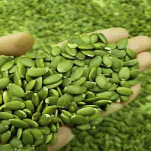 Dried Pumpkin Seeds, Color : Green for Snacking, Baking, Cooking