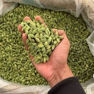 Bold Green Cardamom Seeds, Packaging Type : Bag