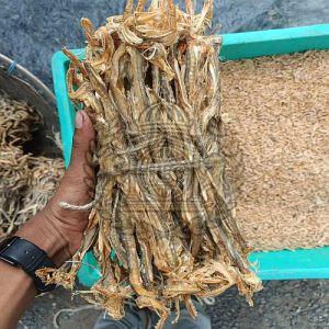 Bombay Duck Dry Fish, Color : Brown, Packaging Type : Vacuum-sealed