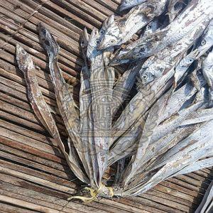 Premium Sun-Dried Large Ribbon Fish, Packaging Type : Bag