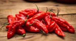 Vegetable Assam Fresh Ghost Chilli, Color : Red for Culinary