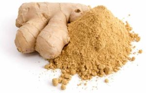 Light Brown Dry Ginger Powder, Packaging Type : Sealed Container