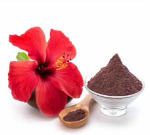 Jaswand Flower Powder, Color : Red, Packaging Type : Plastic Pouch