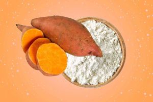 White Sweet Potato Powder