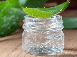 Pure Natural Aloe Vera Gel, Color : Transparent