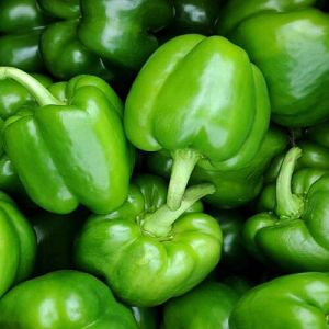A Grade Green Bell Pepper for Commonly Used In Salads, Stir-fries
