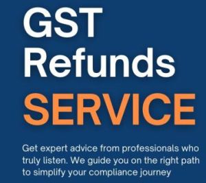 GST Consultant Service