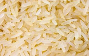 1121 Golden Sella Long Grain Basmati Rice