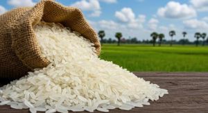 Firm Non Sticky 1121 Sella Long Grain Basmati Rice