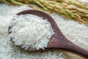 Firm Consistent 1509 Sella Long Grain Basmati Rice