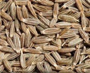 Brown Bold Cumin Seeds Low for Masala Preparation