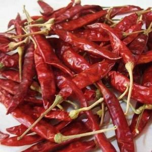 Dried Red Chilli for Cooking Seasoning
