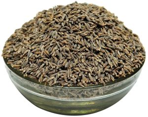 Uniform Machine Cleaned Cumin Seeds Low for Culinary Use